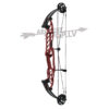 Hoyt Compound Bow Stratos 40 SVX 2023 - Image 6